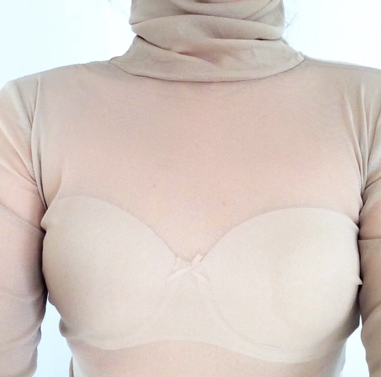 TURTLE NECK LONG SLEEVE MESHS TOP