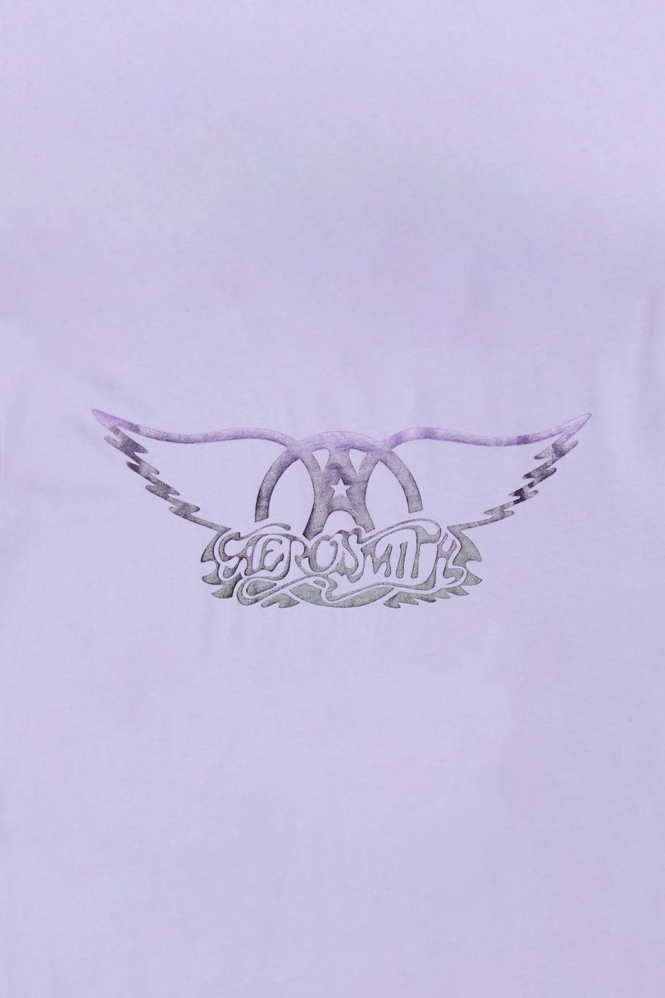 Womens Aerosmith Gel Boyfriend Tee